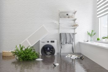 Restoration Services in Spring Grove, Illinois by Forever Restoration Services