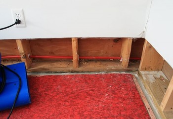 Basement Flood in Hawthorn Woods, Illinois