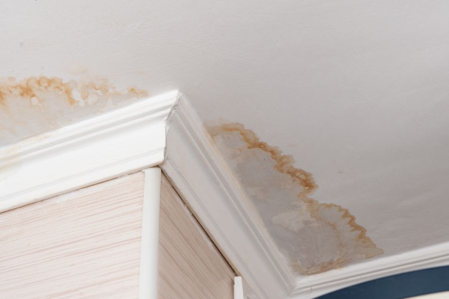 Water Damage Claim Adjusting in Fox Lake Hills, Illinois by Forever Restoration Services